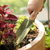 Garden Hand Carbon Steel Transplanter PE Handle